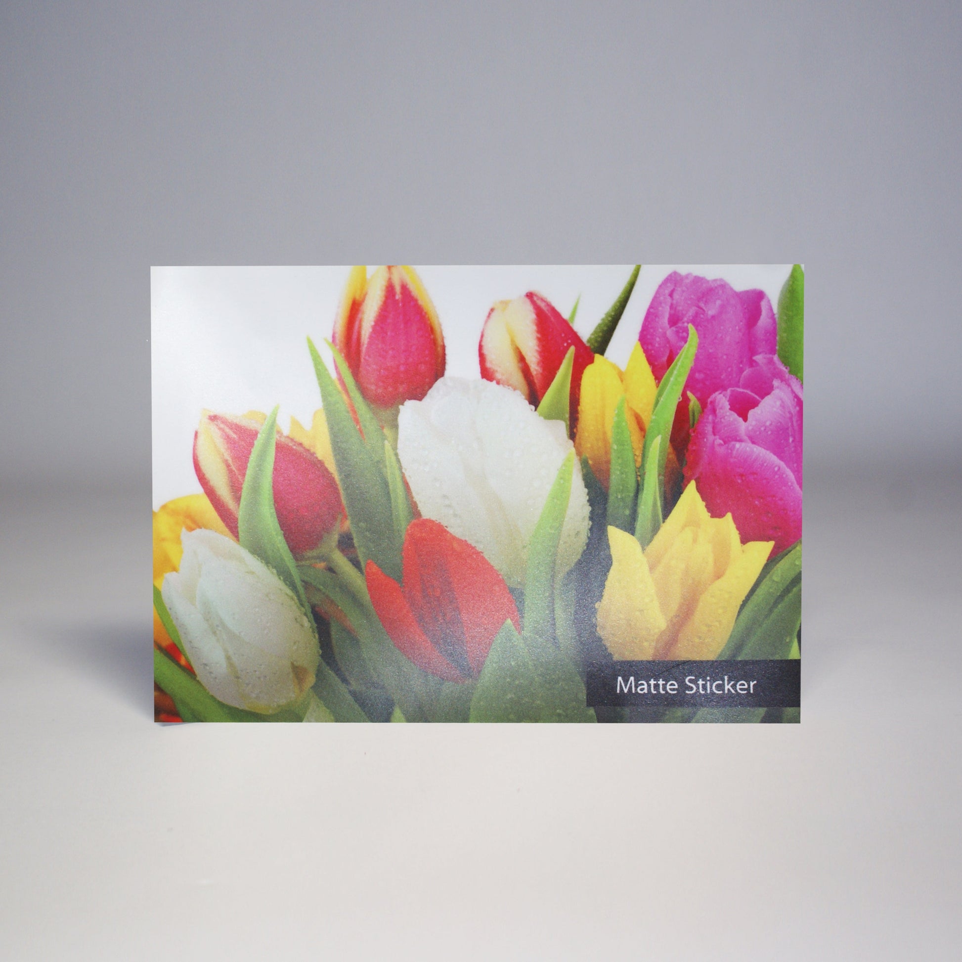 Custom Matte Vinyl Sticker Prints - Print with Provision