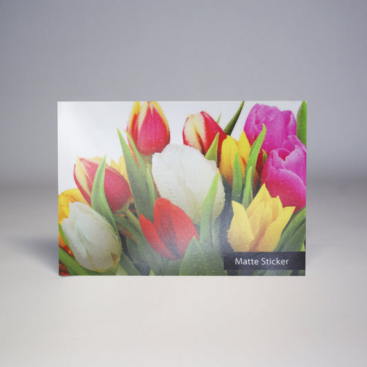 Custom Matte Vinyl Sticker Prints - Print with Provision