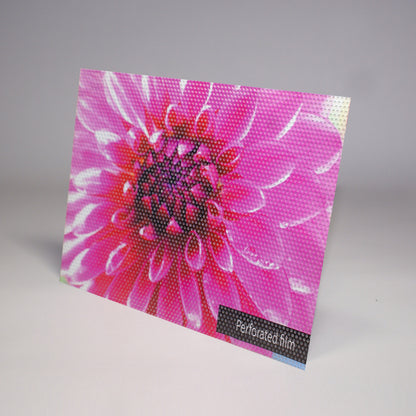 Custom Perforated Window Film Printing - Print with Provision
