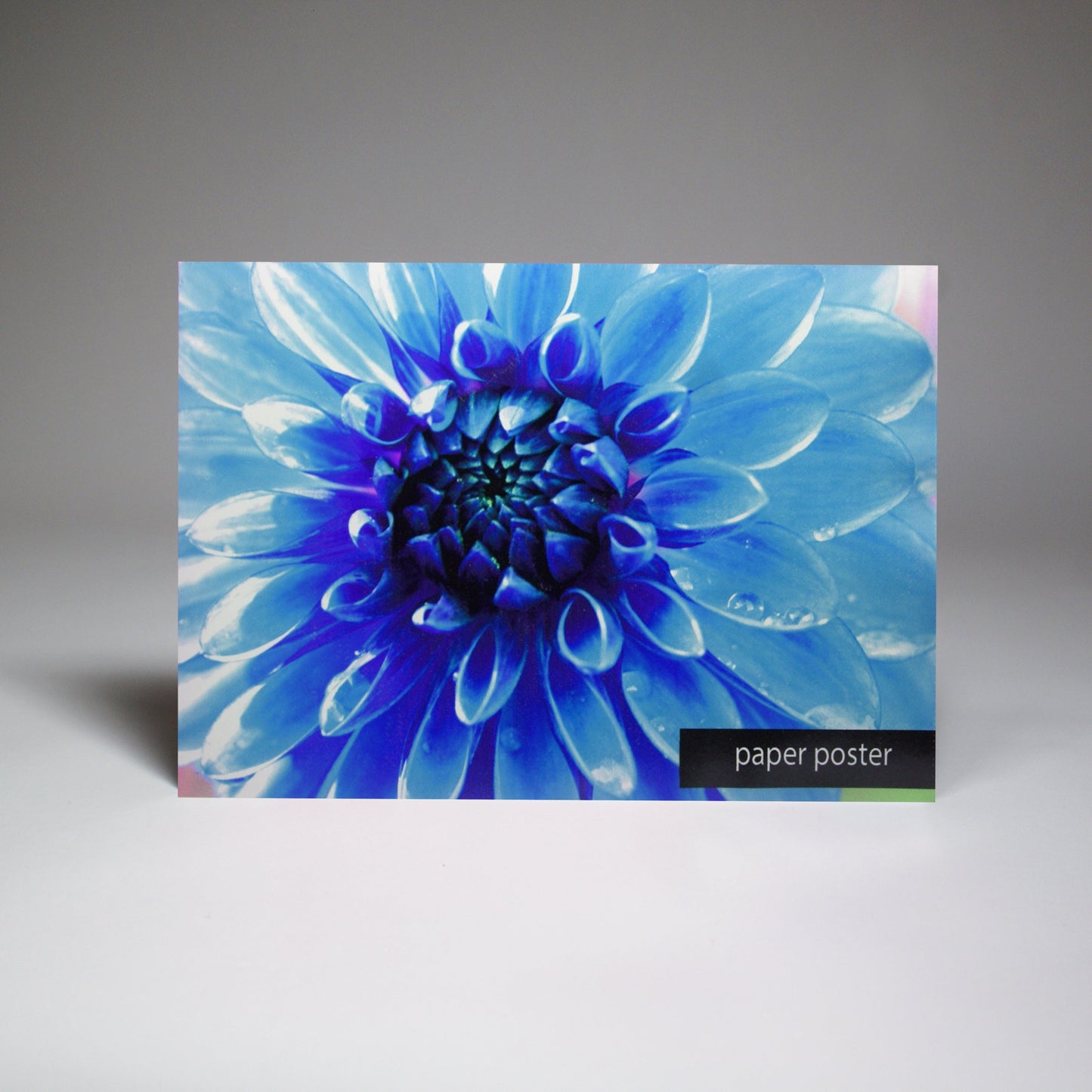 Custom Poster Printing - Print with Provision